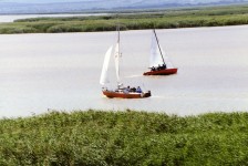 Breitenbrunner Bucht